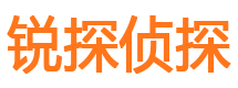 洪雅市婚外情调查